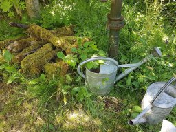 Rita offene Gartentor